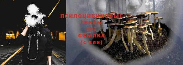 метамфетамин Нея