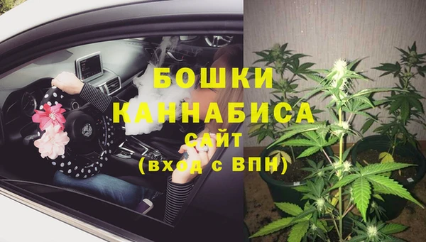 гидра Новокубанск