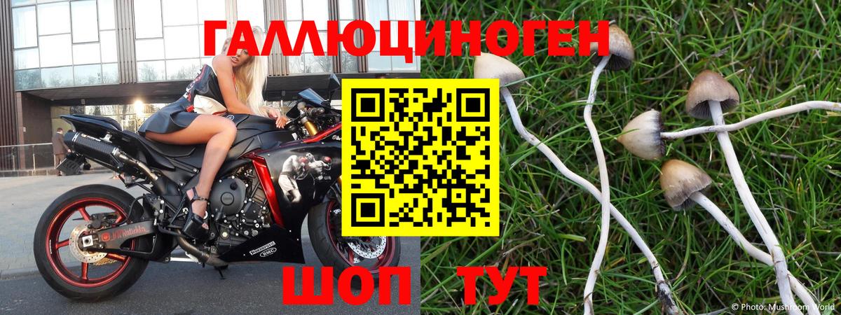 Псилоцибиновые грибы Magic Shrooms Калуга