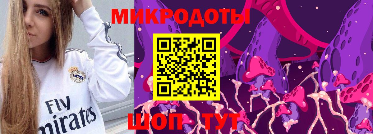 Псилоцибиновые грибы Psilocybine cubensis  Калуга  Галлюциногенные грибы ЛСД 